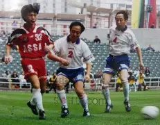 杨祐宁崛起,之谜,资源丰厚背,宝威体育官方,宝威体育在线官网,宝威体育线上,宝威体育APP