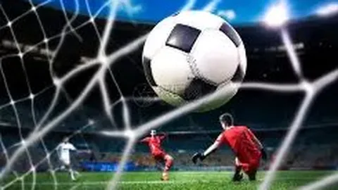 宝威体育 资讯 103029 hve